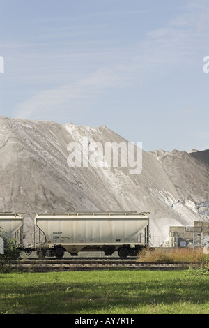 Image couleur vertical du train stationné près de mountain Banque D'Images