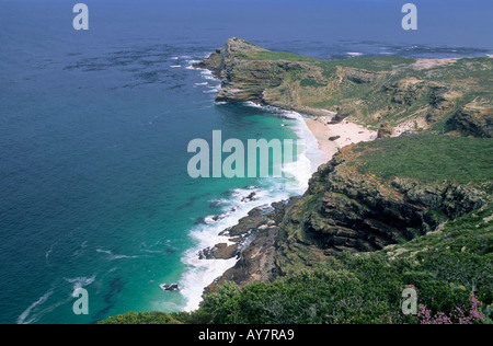 Cap de Bonne Espérance, près de Cape Town, Afrique du Sud Banque D'Images