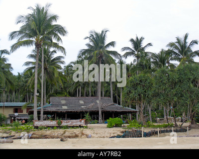 Ko Mook Charlie Beach Resort bungalows au milieu des palmiers de l'île de Ko Muk Thaïlande Banque D'Images