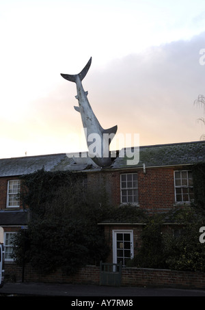 Shark en toit de maison dans la nouvelle High Street Oxford Headington Banque D'Images