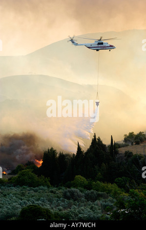 Forêt en Grèce le 08 juillet 2007 le feu sur l'île de Samos, dans la zone entre Mitilini et Égine. Banque D'Images