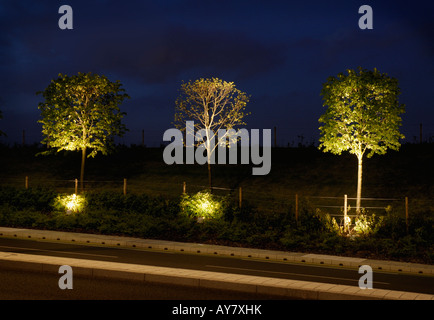 Arbres et Lumières, Central Park Gateway Manchester UK. Architectes Aukett Fitzroy, Robinson. Banque D'Images