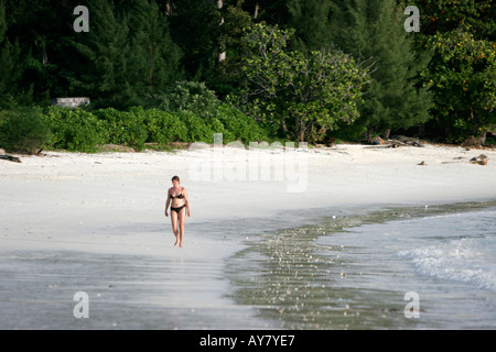 Young woman in bikini promenades le long de la plage déserte Pattaya Ko Lipe Thaïlande Banque D'Images