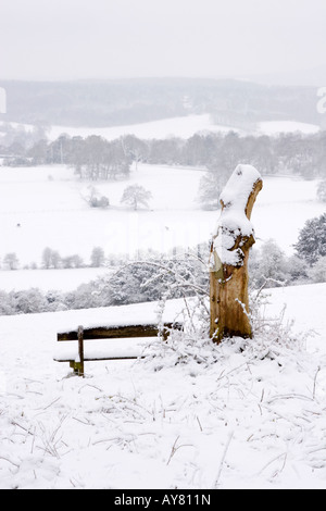 Banc à côté d'un arbre couvert de neige sur moignon north downs Banque D'Images