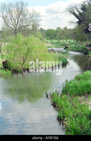 Rivière Colne, Cassiobury Park, Watford, Hertfordshire, Royaume-Uni Banque D'Images