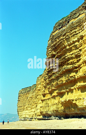 Plage ruche Cliffs at Burton Bradstock en Grande-Bretagne Dorset UK Banque D'Images