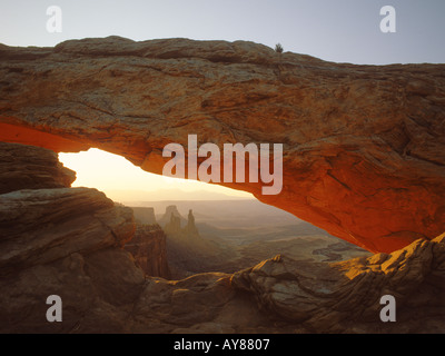 Lavandière arceau par Mesa Arch au lever du soleil Banque D'Images