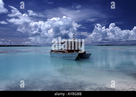 Un taxi d'eau catamaran ancré juste à côté de la plage Tarawa Kiribati Banque D'Images