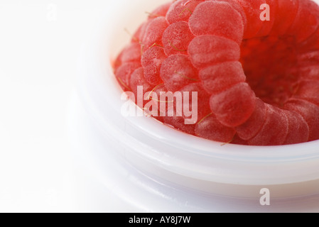 La framboise au petit récipient, extreme close-up Banque D'Images