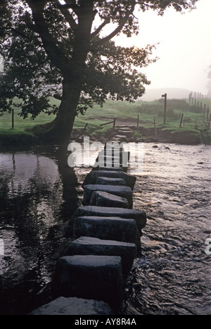 '^Stepping Stones, tôt le matin, le Rothay ^^, près de Ambleside, "Lake District", en Angleterre. Banque D'Images