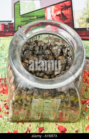 Câpres salées en pot ouvert, high angle view Banque D'Images