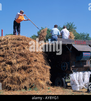 6800, le comté de Cork, Irlande, les loisirs de la ferme à l'ancienne machinerie trashing dans l'Irlande rurale, l'esprit de communauté, Banque D'Images