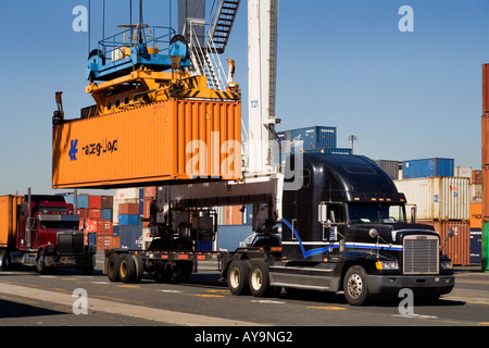 Une grue soulève un conteneur de fret maritime à partir d'un camion à hustler spécialisée la charger sur un cargo lors d'une installation de conteneurs Banque D'Images