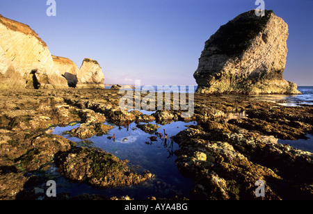 Clifff Piles mer et l'estran de l'île de Wight Freshwater Bay Banque D'Images