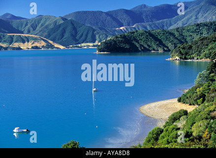 Marlborough Sound Nouvelle-zélande Banque D'Images