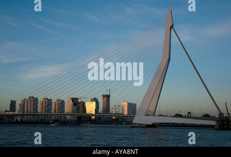 Vue de Rotterdam Centre repris de la Wilhelminapier. Banque D'Images