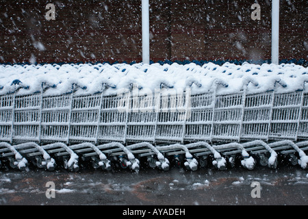 L'Angleterre, dans le Sussex. Chariots de supermarché recouvert de neige en hiver Banque D'Images