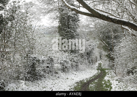 Sentier sur un pays à pied dans la neige Banque D'Images