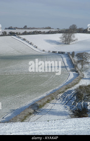Lyminge Woods, dans le Kent, en Angleterre à la fin du printemps Banque D'Images