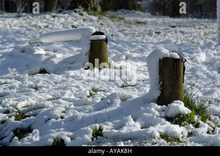 Lyminge woods en hiver Banque D'Images