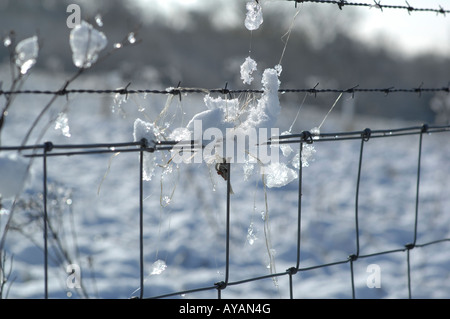 Wire Fence in snow Banque D'Images