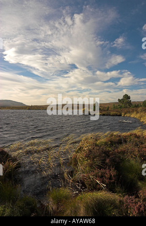 Dava Moor Ecosse Loch noir Banque D'Images