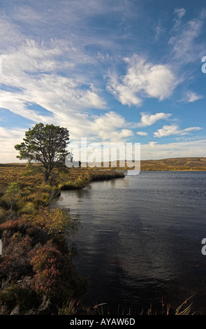 Dava Moor Ecosse Loch noir Banque D'Images