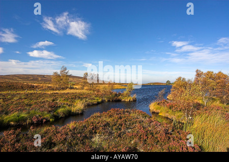 Dava Moor Ecosse Loch noir Banque D'Images