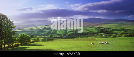 Soirée d'été dans la vallée de Glenelly, comté de Tyrone, Irlande du Nord. Banque D'Images