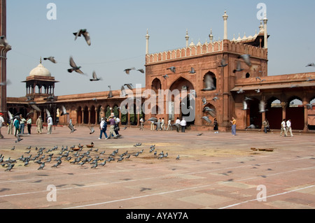 Les arches d'entrée et la cour centrale de la mosquée Jama Masjid dans le Vieux Delhi, Inde. Banque D'Images
