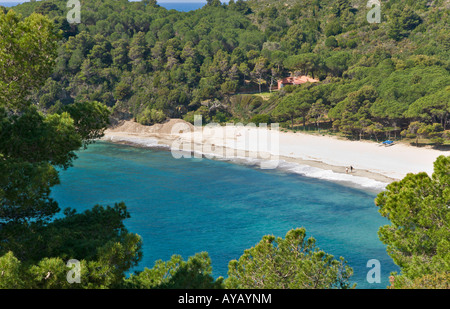 Vue de la plage de Fetovaia Ile d'Elbe Livorno Italie Banque D'Images