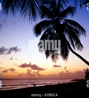 Coucher du soleil des Caraïbes à la Barbade Banque D'Images