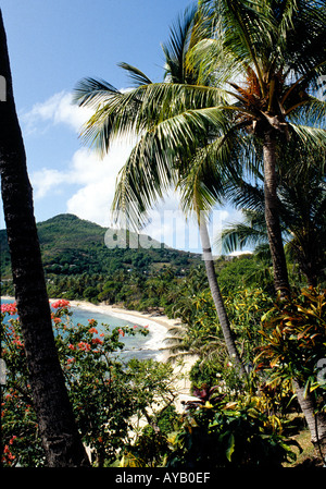 Dans la baie d'amitié des Caraïbes Bequia Banque D'Images
