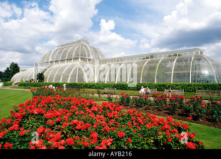 Fleurs à Kew Gardens et la Palmhouse West London Banque D'Images