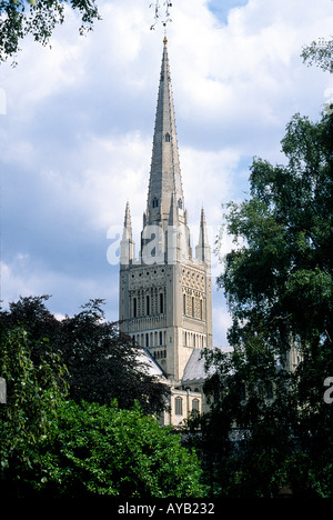 Cathédrale de Norwich Norfolk Angleterre Banque D'Images