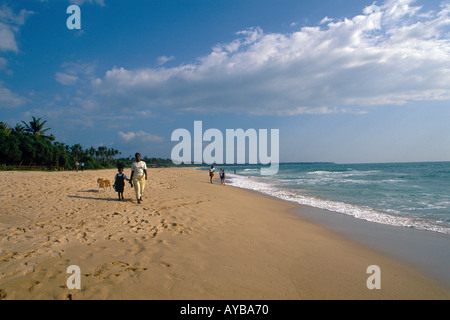 AHUNGALLA CÔTE OUEST DU SRI LANKA En Asie Sri Lanka Banque D'Images