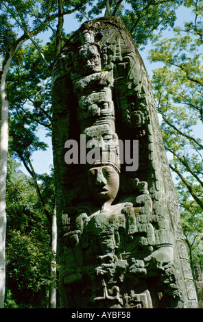 Ruines de Quirigua maya au Guatemala Période classique Stela D représentant le roi Cauac Sky Banque D'Images