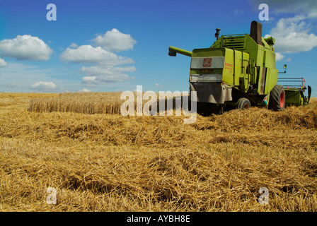 La récolte Derbyshire Angleterre english british UK GB EU Europe Banque D'Images