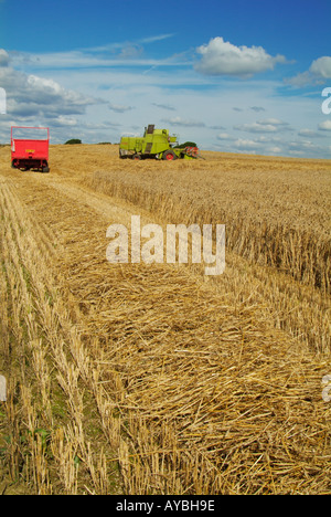 La récolte Derbyshire Angleterre english british UK GB EU Europe Banque D'Images