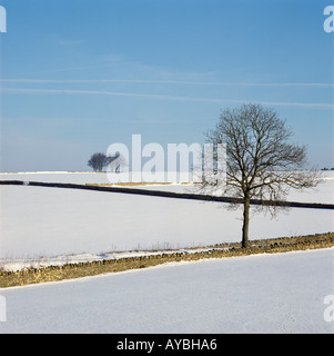 Nuits après une chute de neige dans la pittoresque campagne Cotswold près du village de Birdlip Banque D'Images