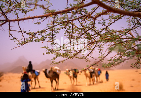 Le Niger, Ténéré désert. Caravane de chameaux voyageant à travers les montagnes de l'air. C'est la plus grande aire protégée d'Afrique. Banque D'Images