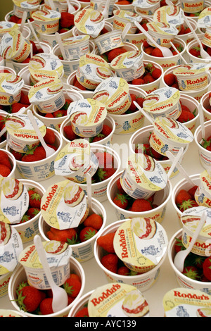 Des fraises et de la crème dans la cuisine tente Royal Cornwall Show Padstow Cornwall UK Banque D'Images