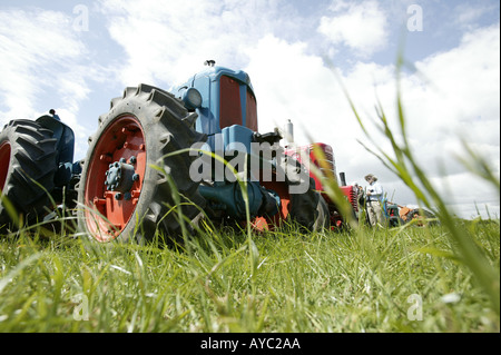 Les tracteurs d'époque lors d'un rassemblement dans le Worcestershire England UK Banque D'Images