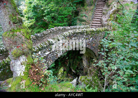 Le cheval en pierre Pont sur Aira Force près de Ullswater Lake Lake District Cumbria England Angleterre UK Banque D'Images