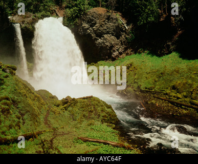 Sahalie Falls sur le cours supérieur de la rivière McKenzie dans la forêt nationale de Willamette en Oregon Banque D'Images