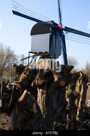 Wipwatermolen (mill), à Nieuwegein Holland Banque D'Images