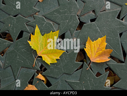 Automne avion quitte tombée sur la feuille d'avion ferronnerie Banque D'Images