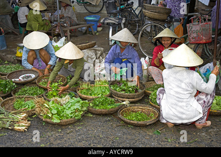 Chapeau conique des femmes vendent des herbes Légumes Hoi An Vietnam marché historique de la ville Banque D'Images