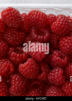 Framboises fraîches tourné avec numérique moyen format Hasselblad Banque D'Images