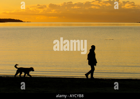 Silhouette femme Walker et le chien se promener sur la plage au lever du soleil avant, Victoria, Colombie-Britannique, Canada. Banque D'Images